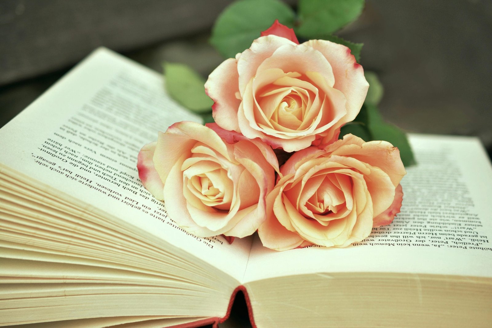 AI Poetry Books