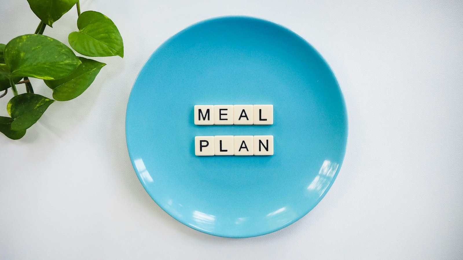 AI-Generated Nutrition Plans