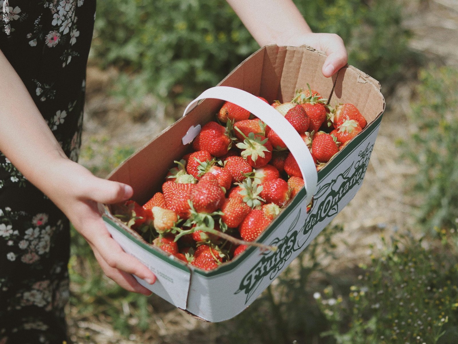 DeFi Yield Farming