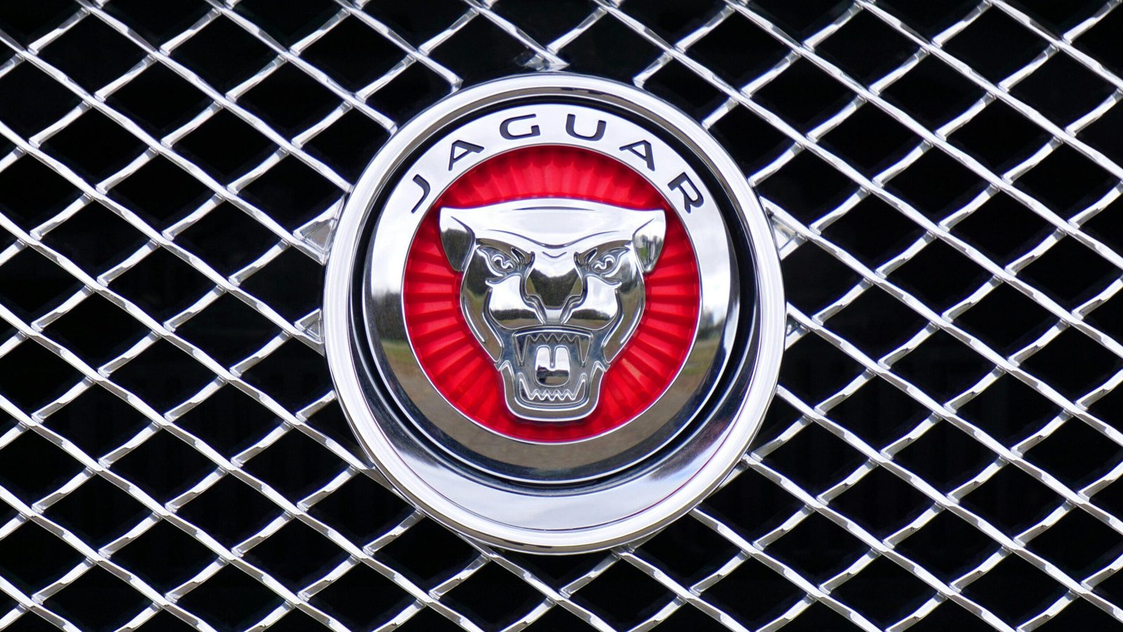 AI Logos