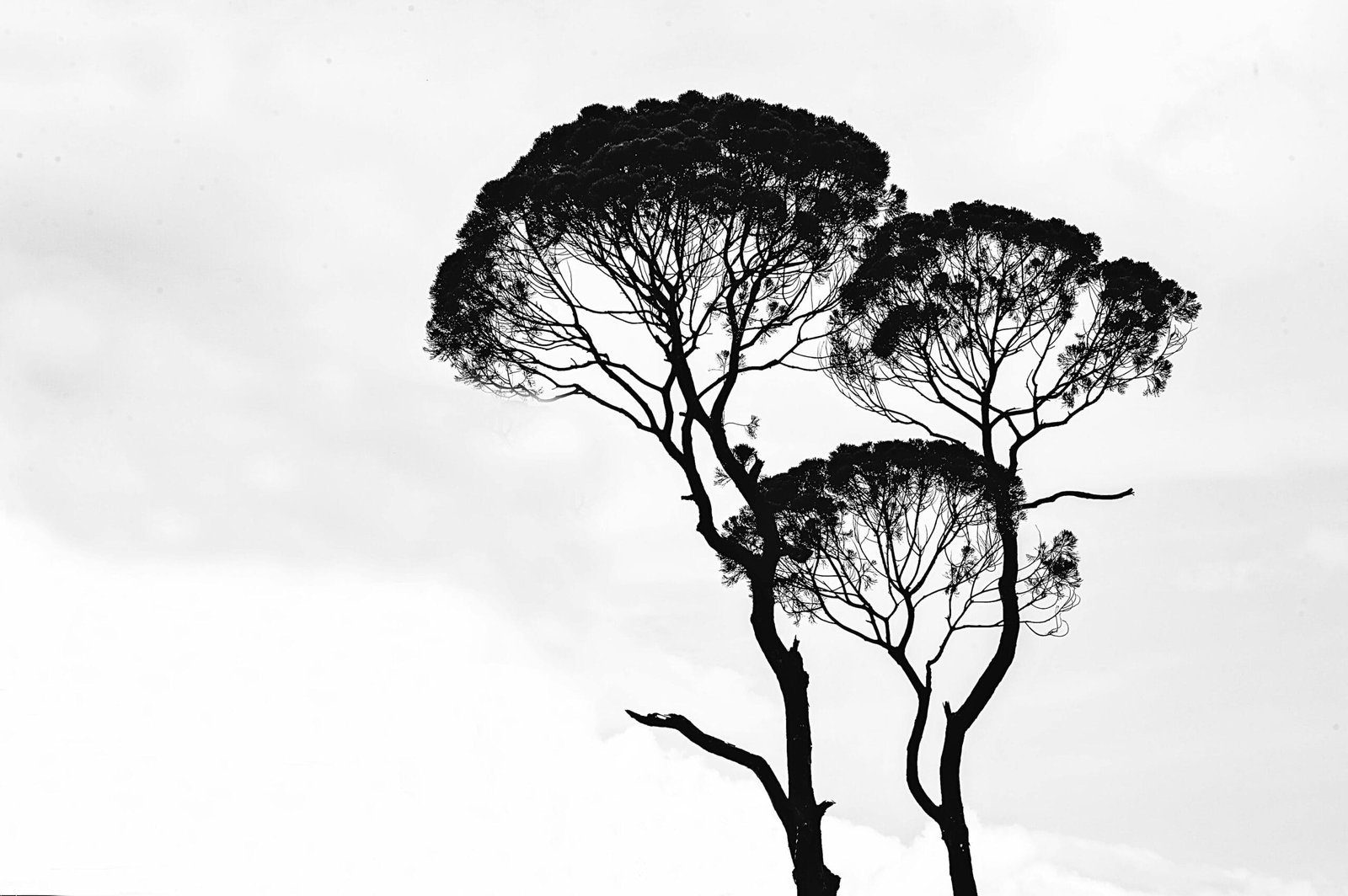 AI Art Monetization