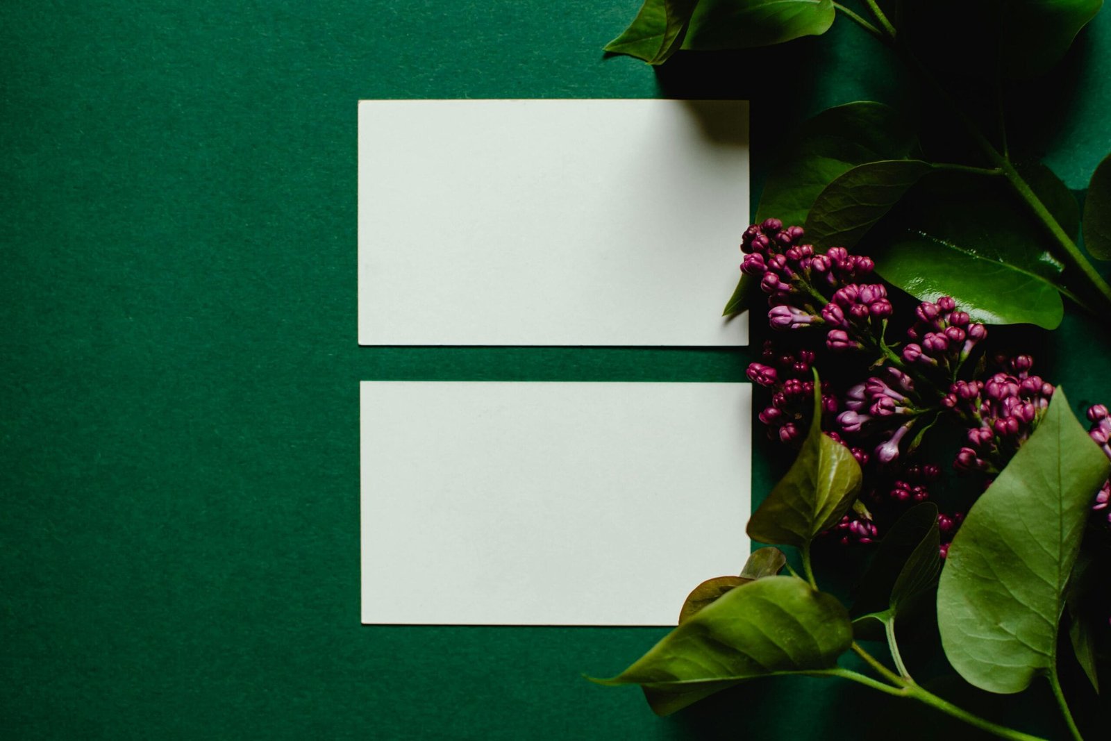 AI Greeting Cards