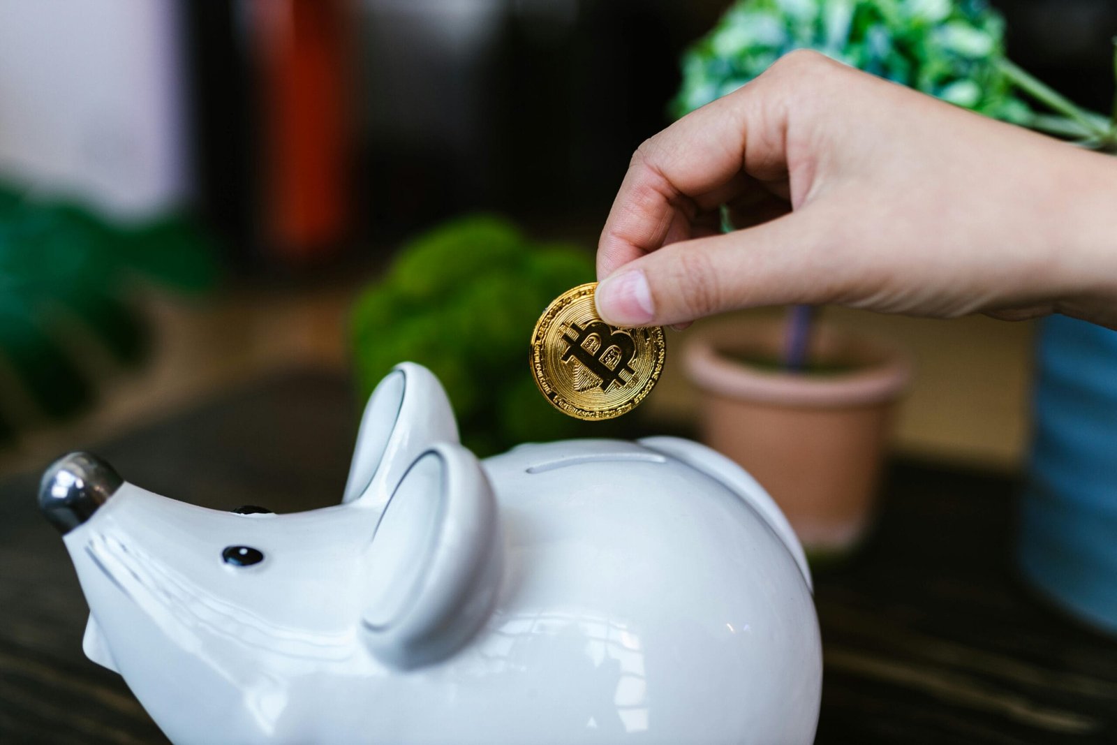 Crypto Social Media Bounties