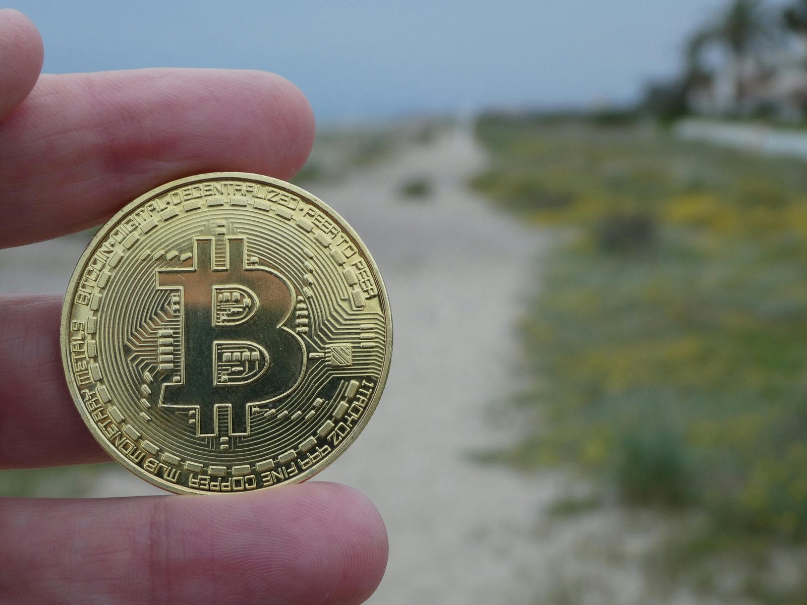 Crypto Community Moderator