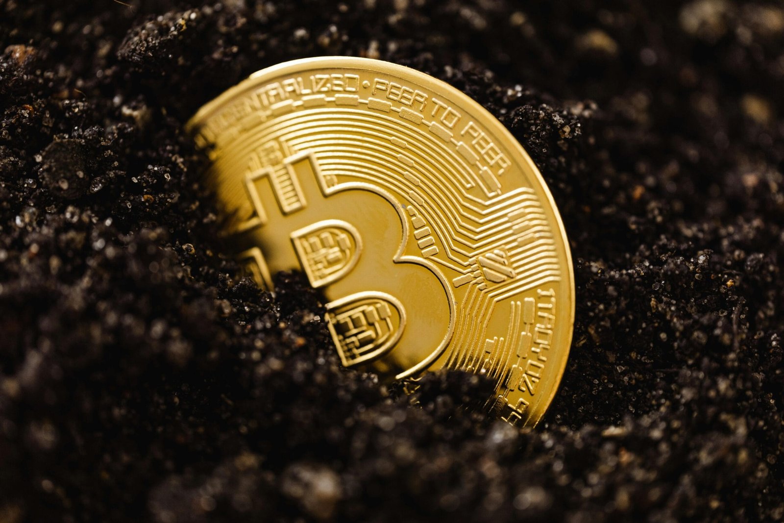 Crypto Crash