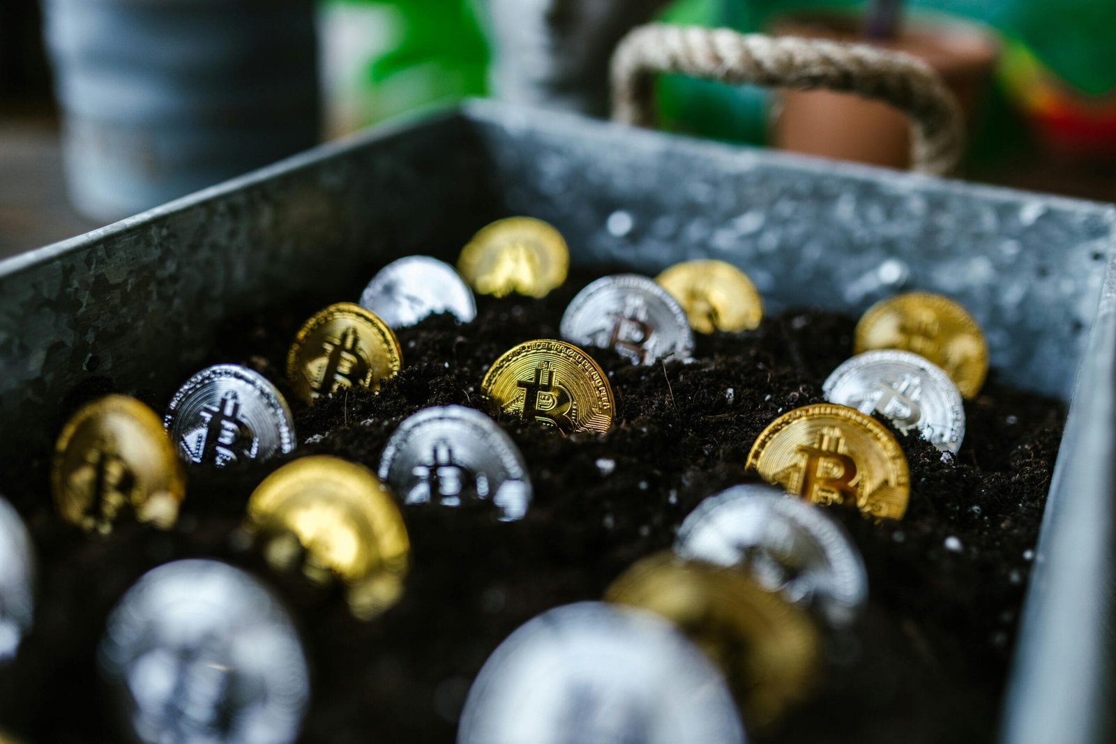 Crypto Beta Testing