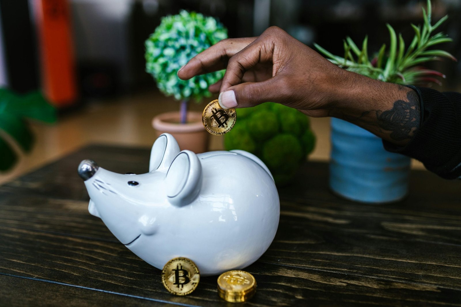 Crypto Bounties