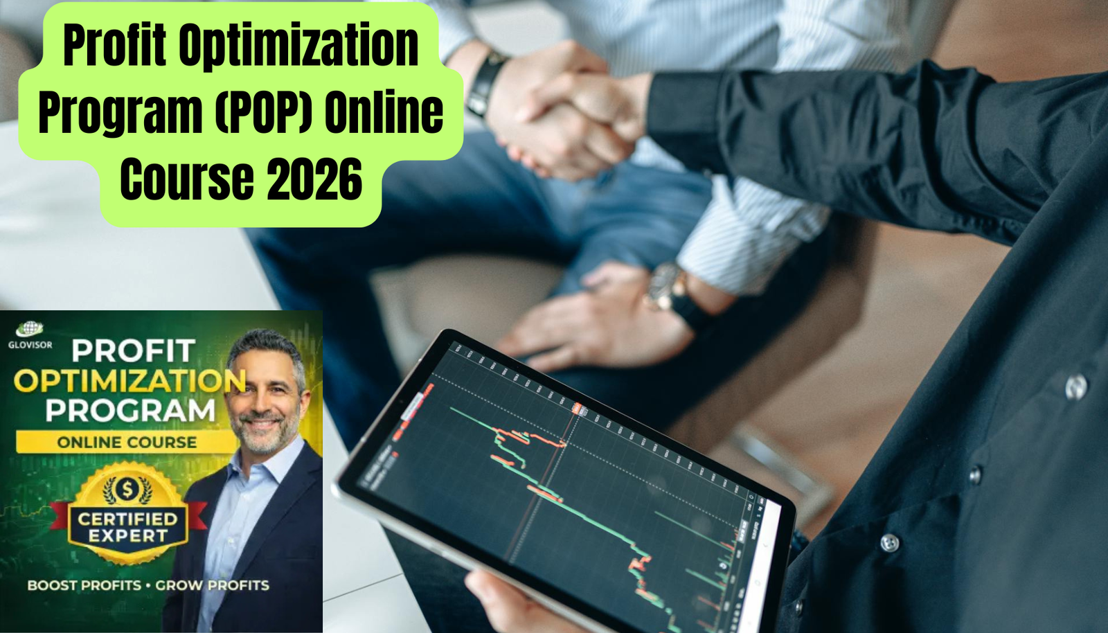 Profit Optimization Program