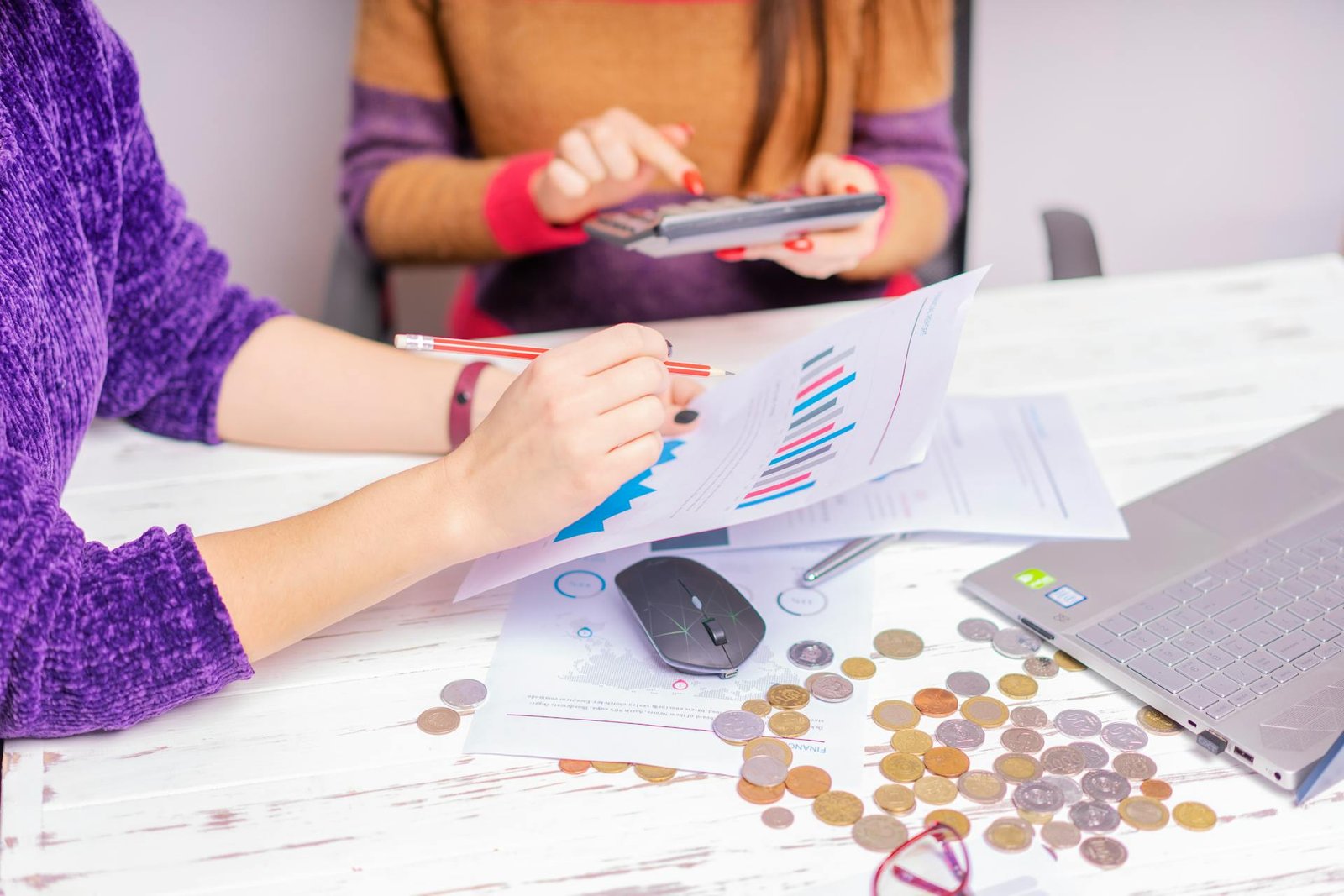Profit Optimization Program 