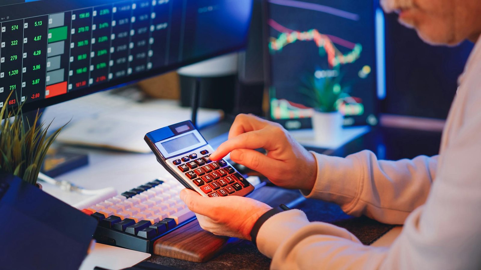Profit Optimization Program 