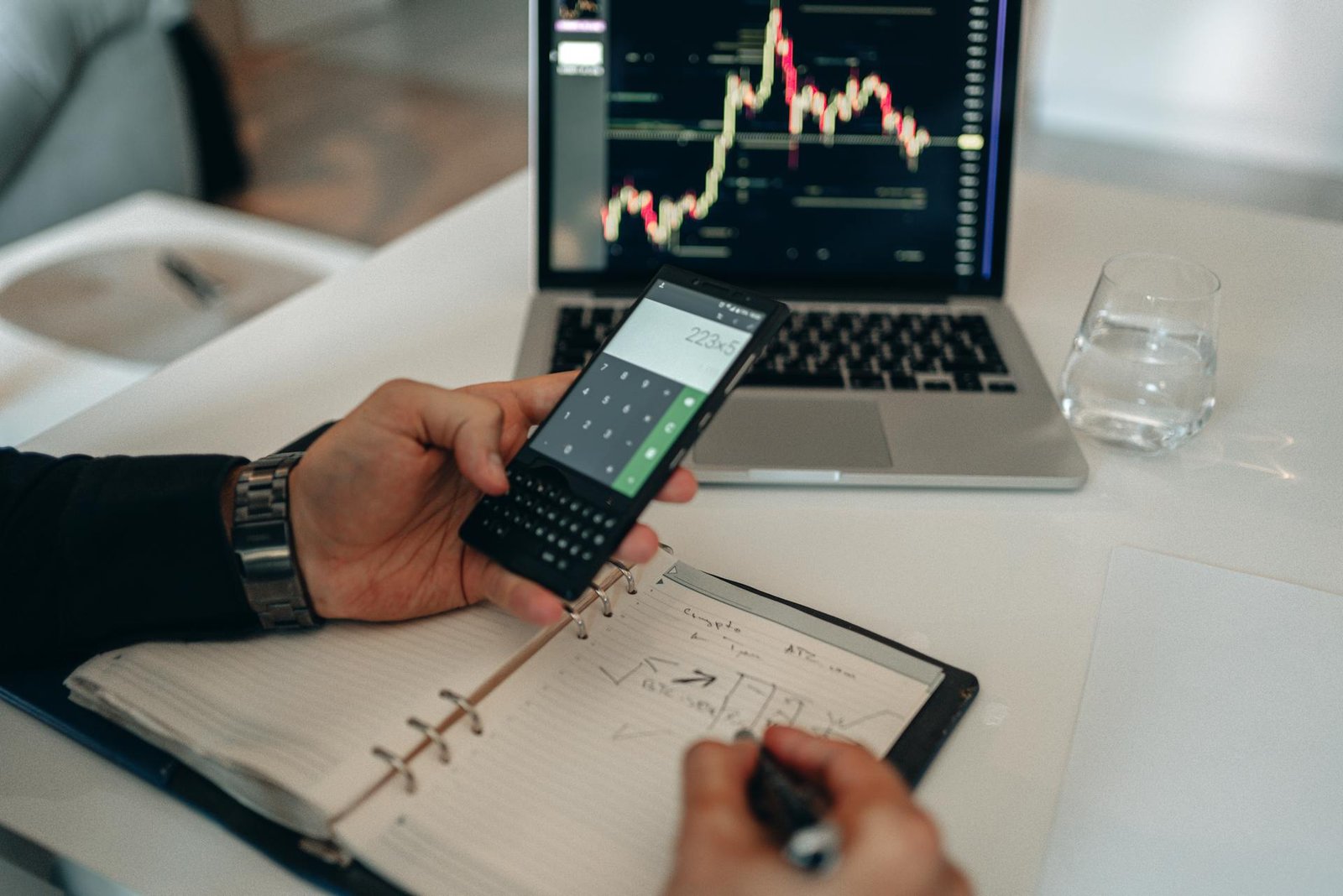 Profit Optimization Program 