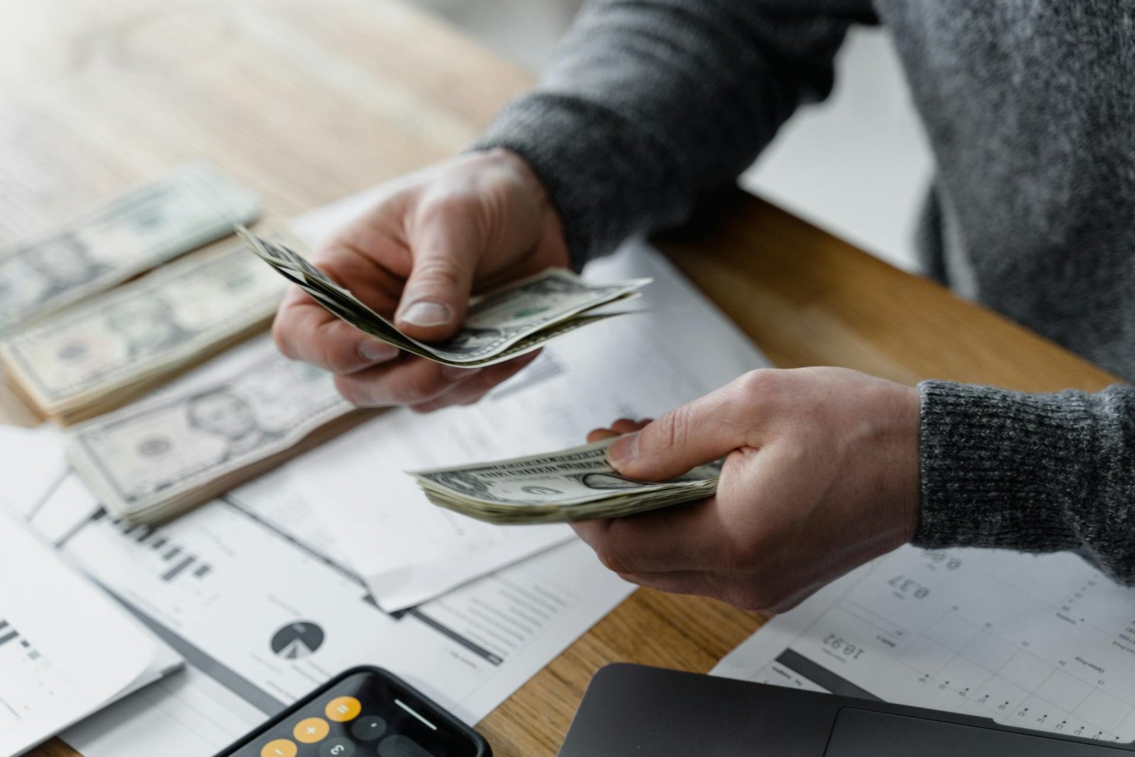 Profit Optimization Program 