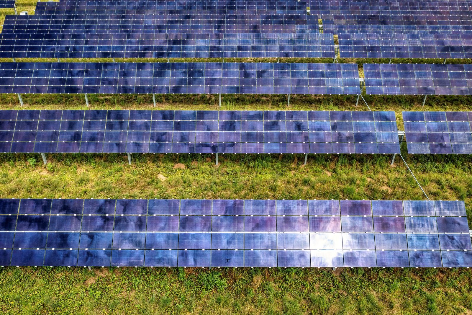 Solar Innovator