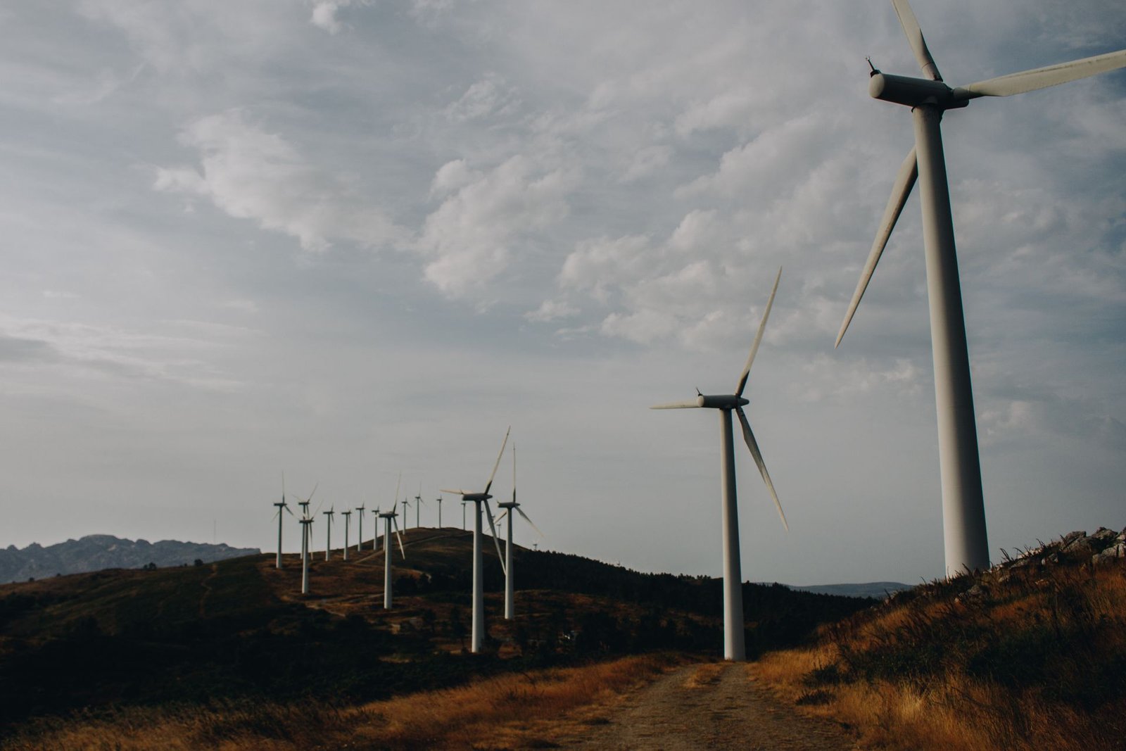 Renewable Energy