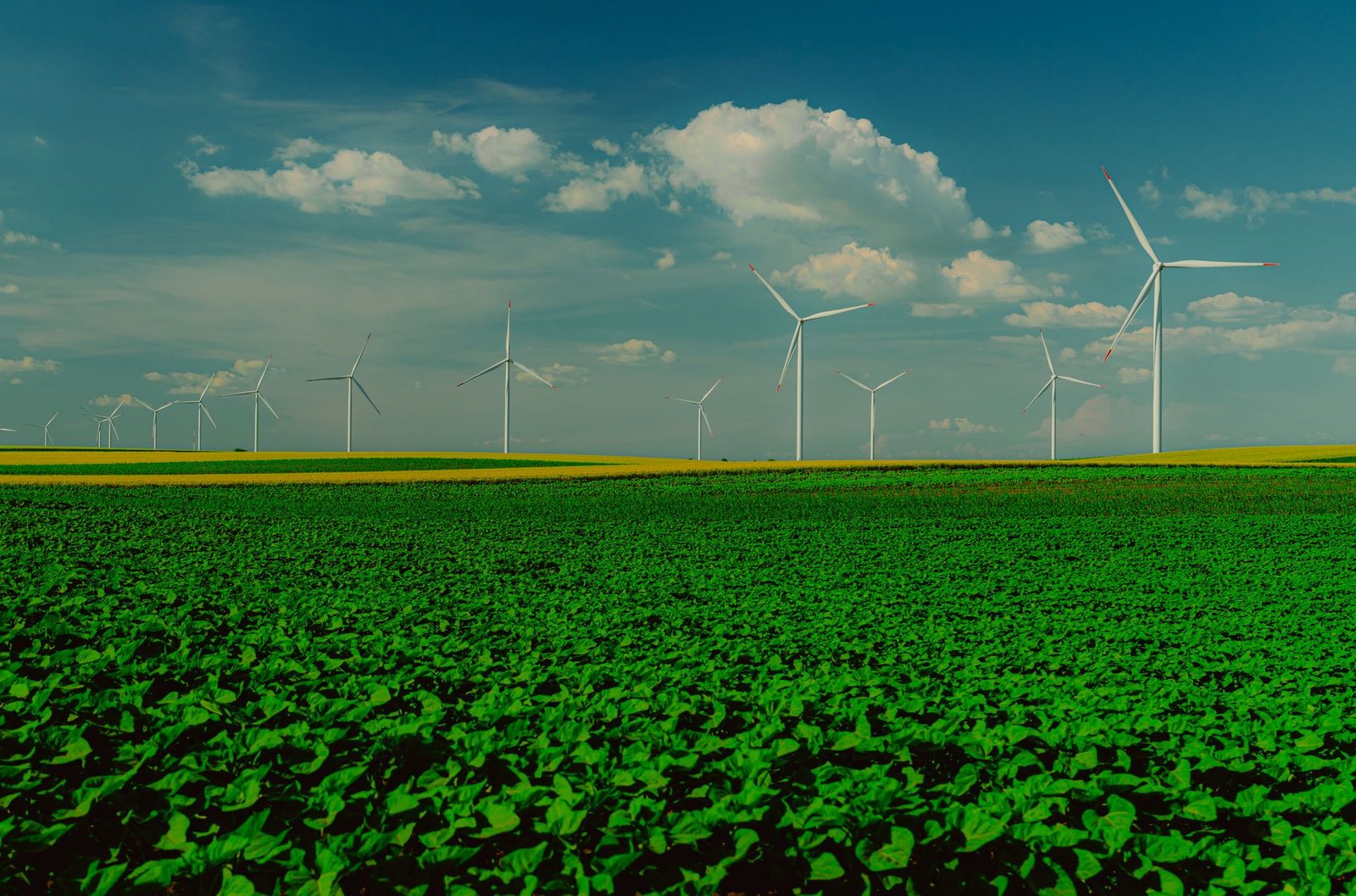 Renewable Energy