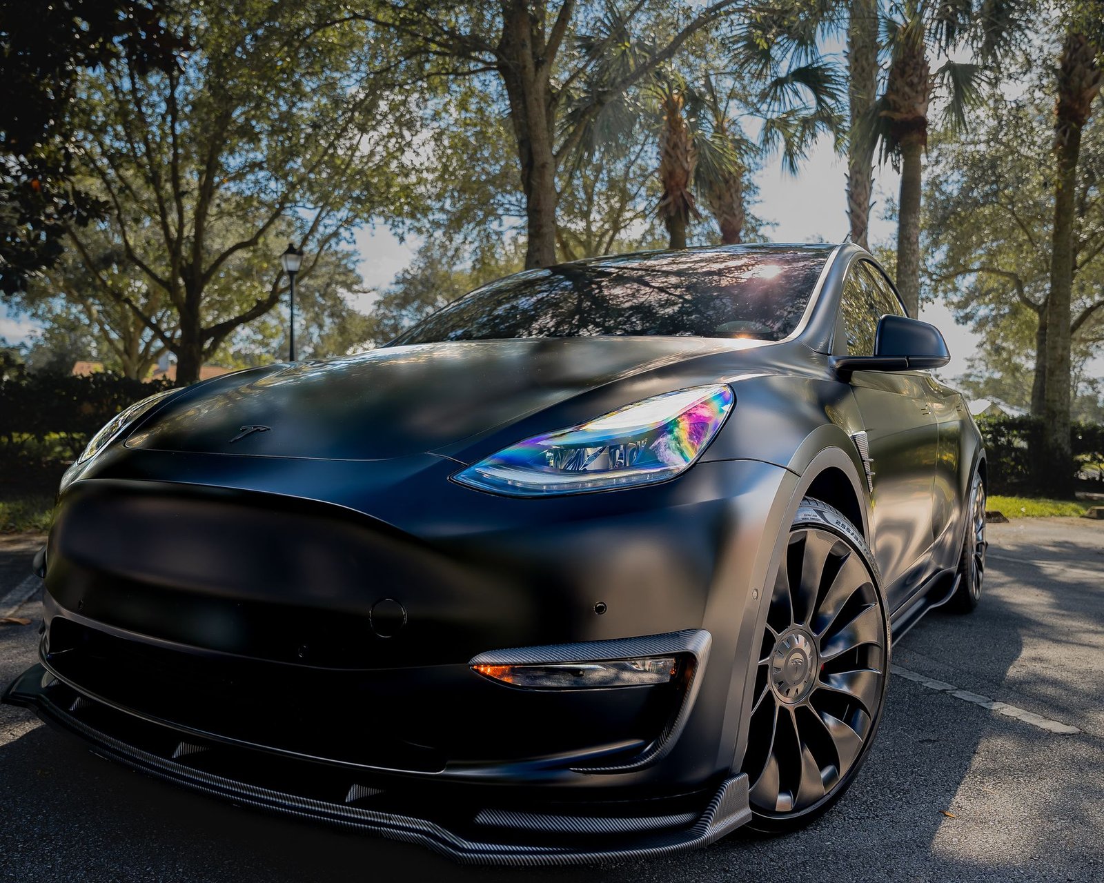 Tesla MedBed X