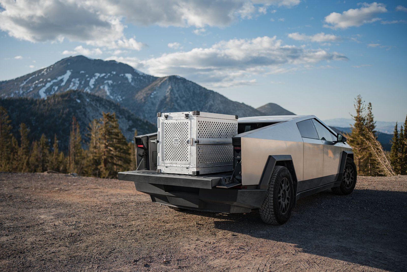 Tesla MedBed X