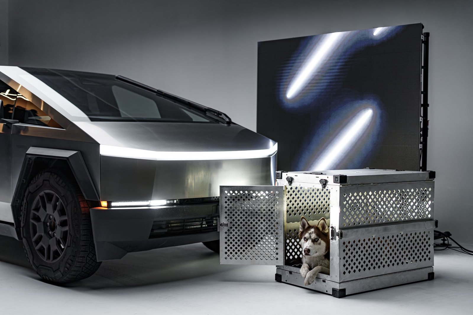 Tesla MedBed X
