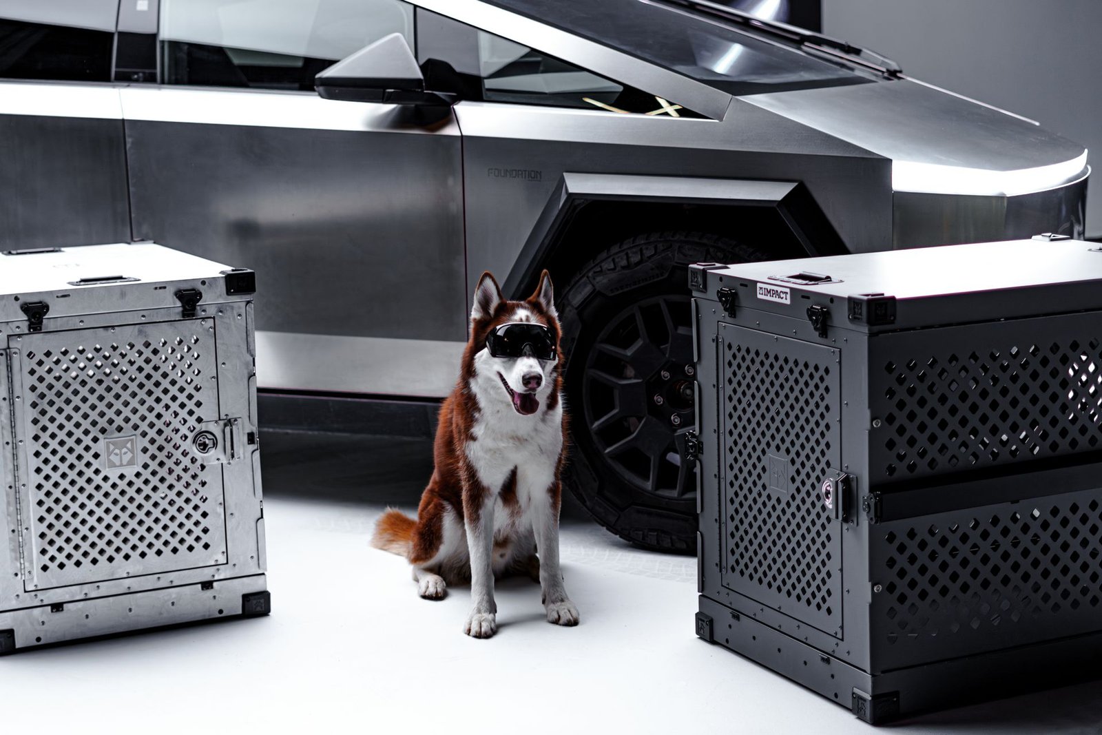 Tesla MedBed X