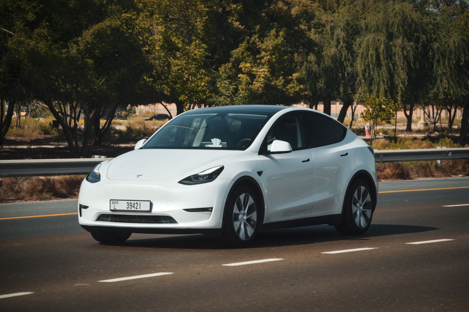 Tesla MedBed X