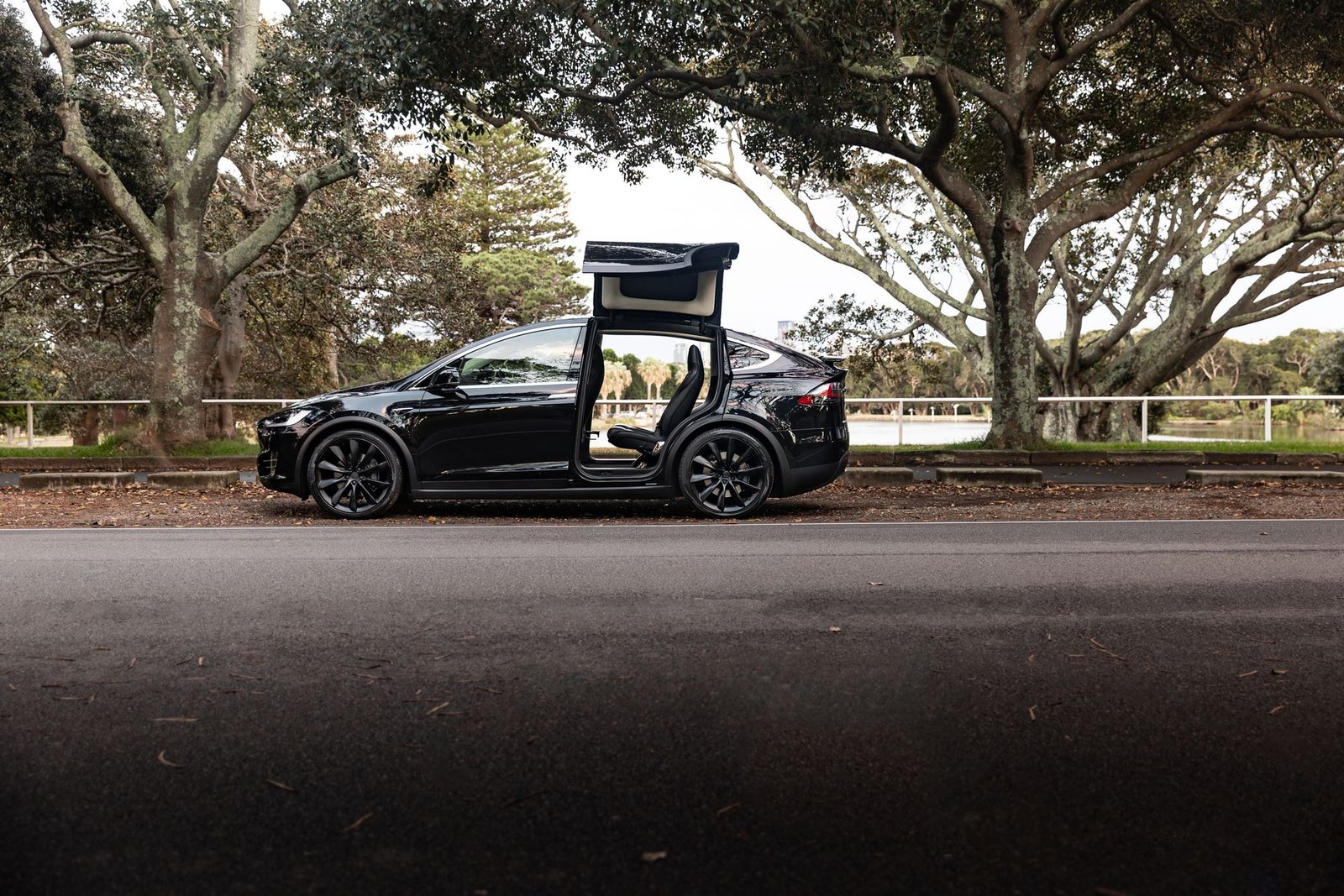 Tesla MedBed X