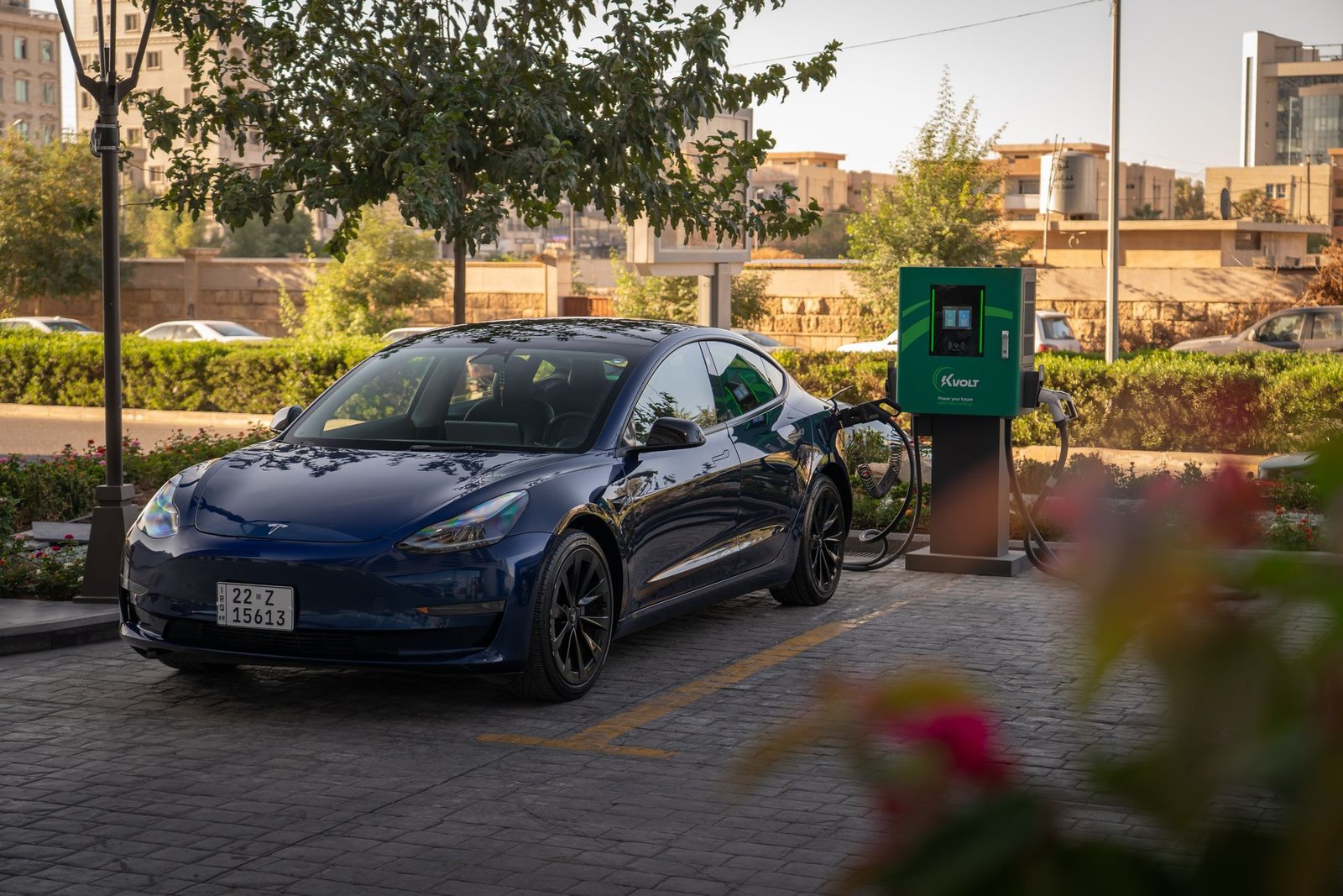Tesla MedBed X