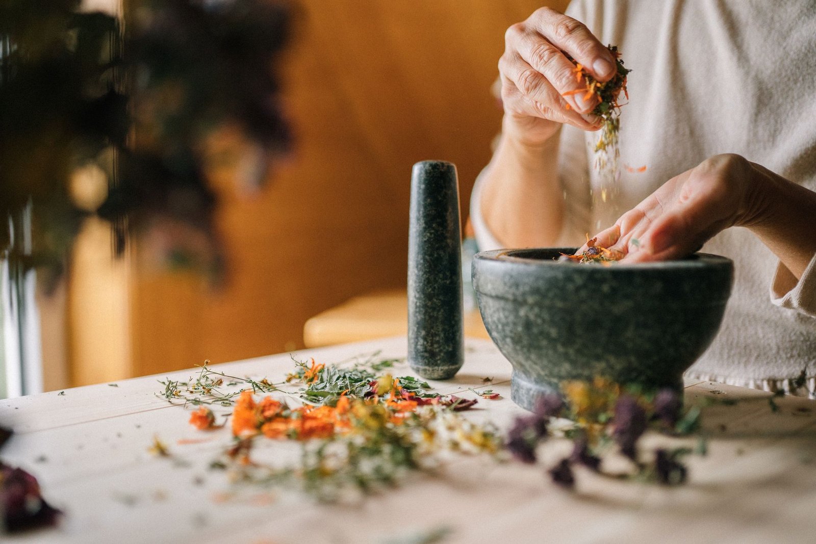 Medicinal Garden Kit