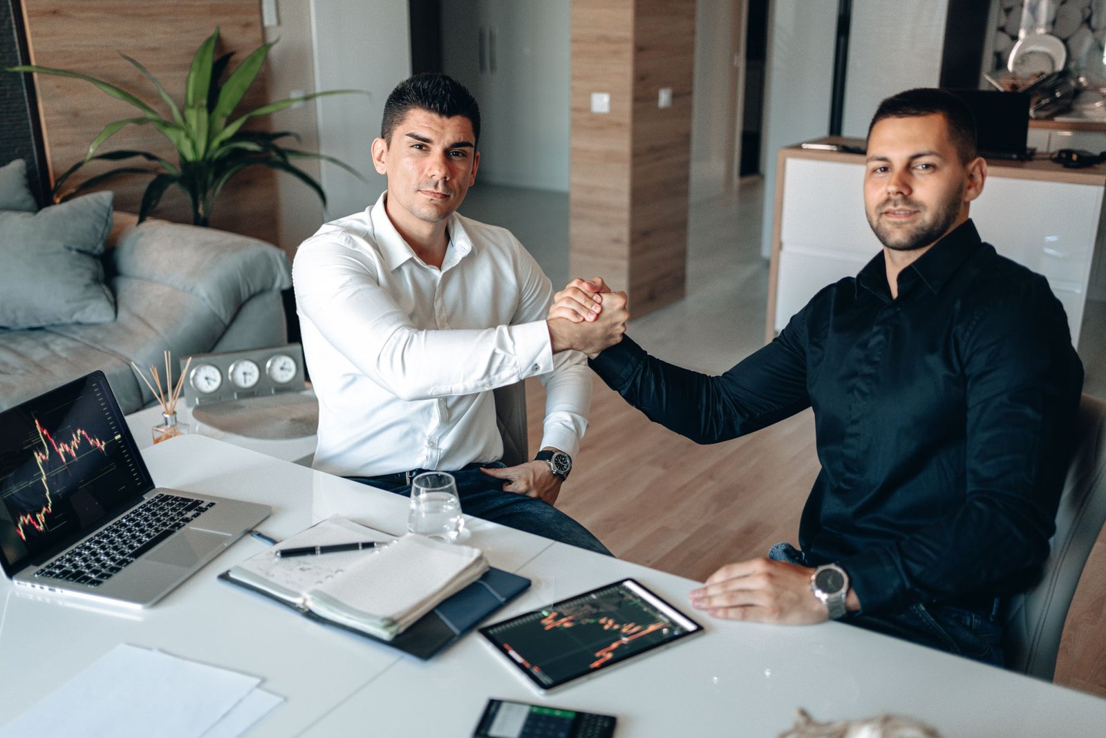 Millionaire Partner System