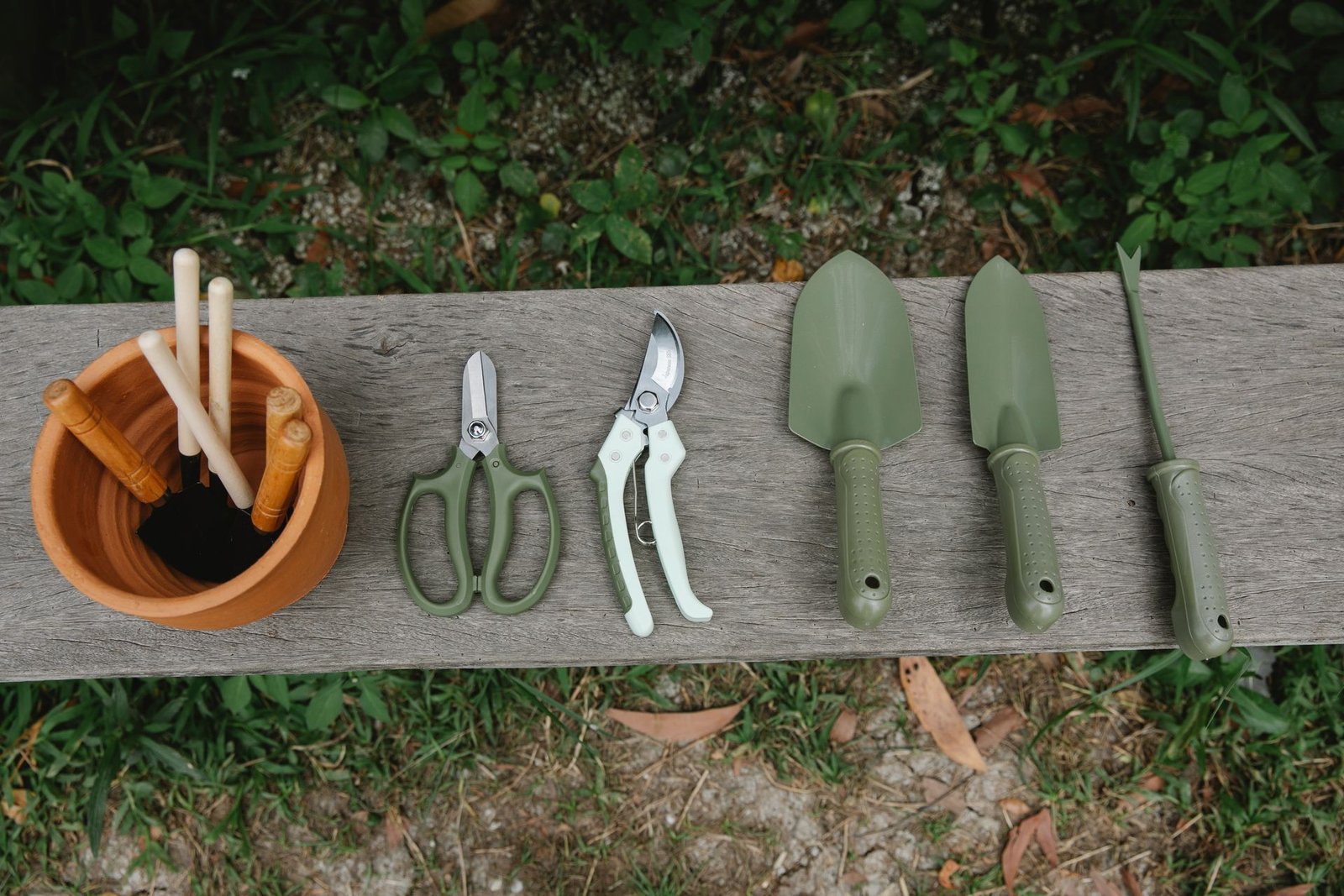 Medicinal Garden Kit