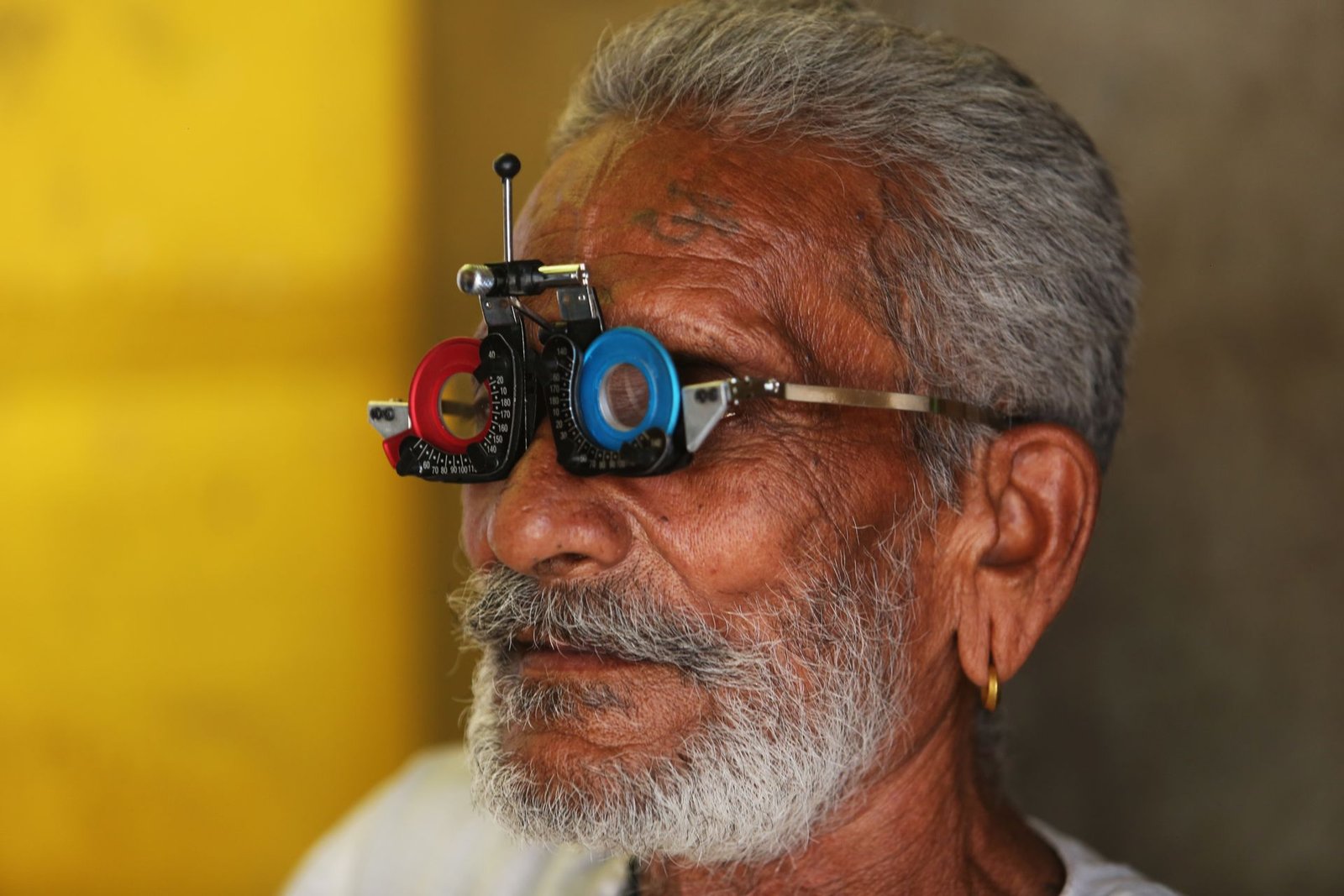 Sight Fresh