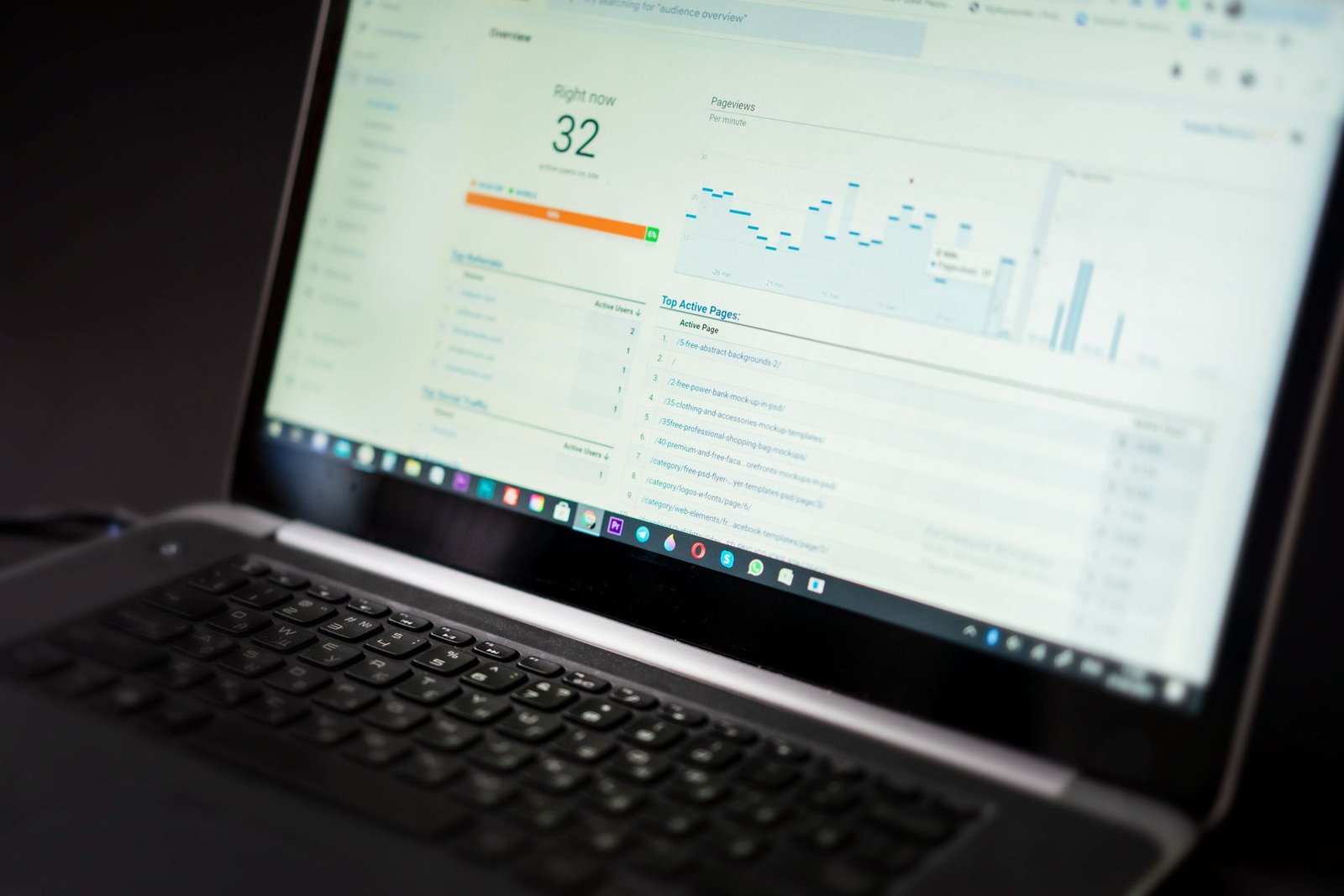Backlink Bundle