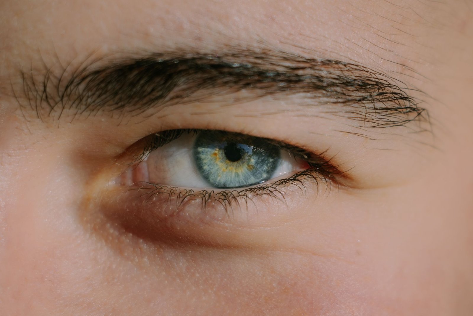 Trained Eye