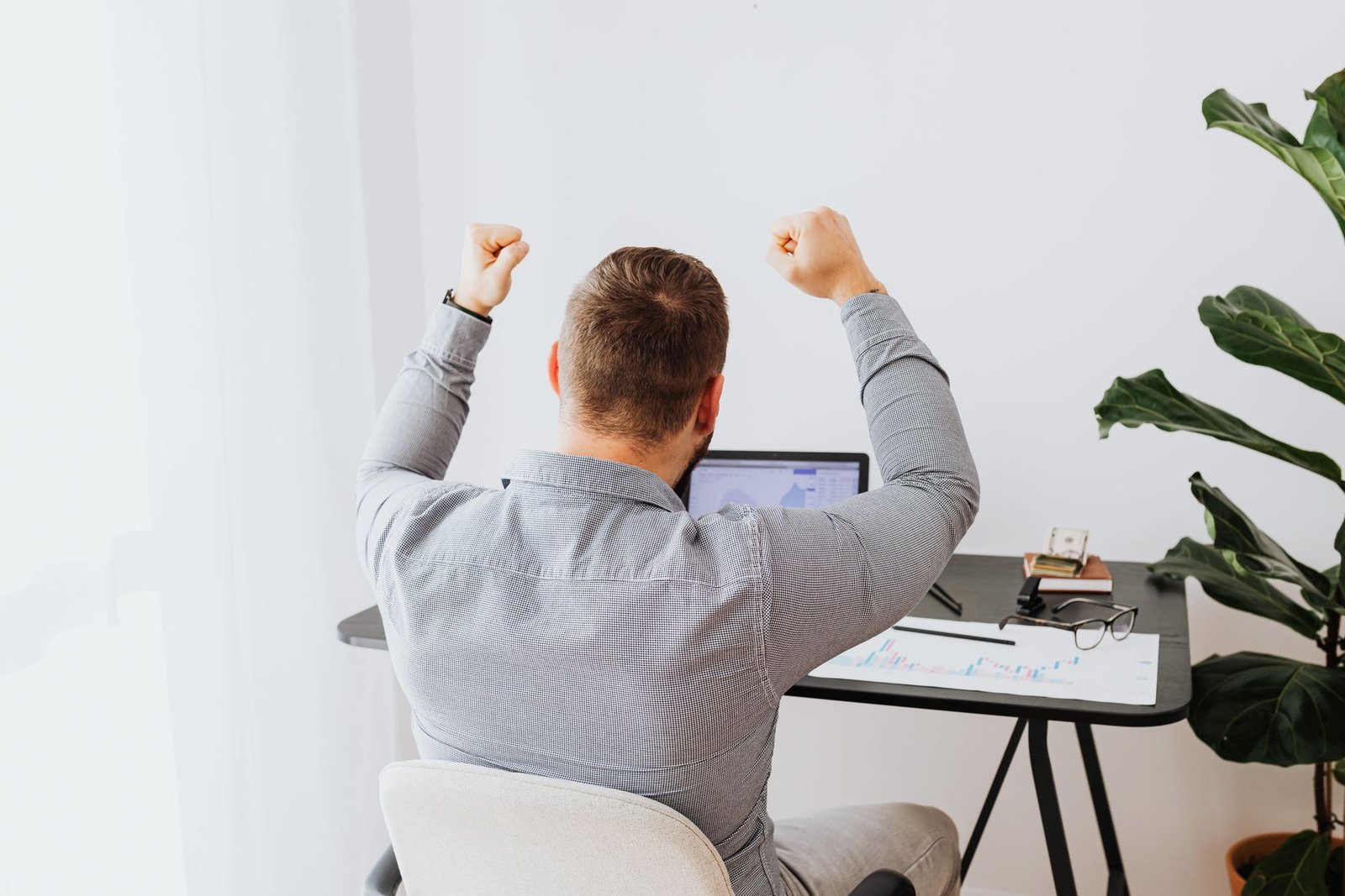 Backlink Bundle