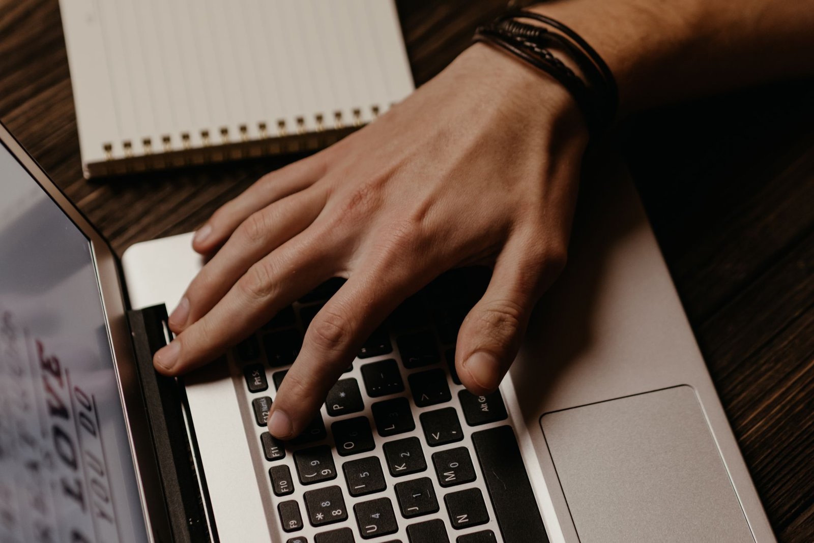 Backlink Bundle