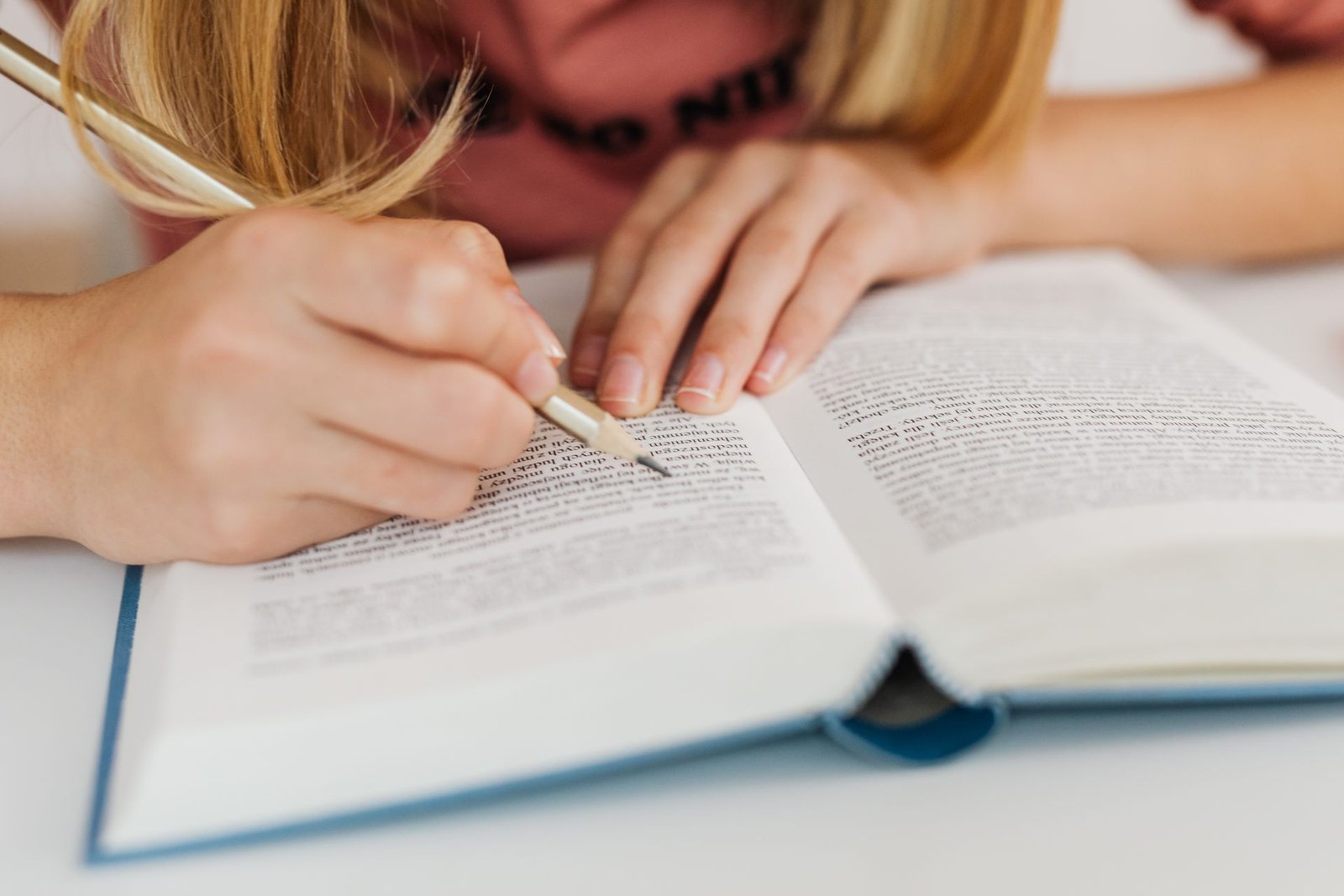 Essay Exam Structure