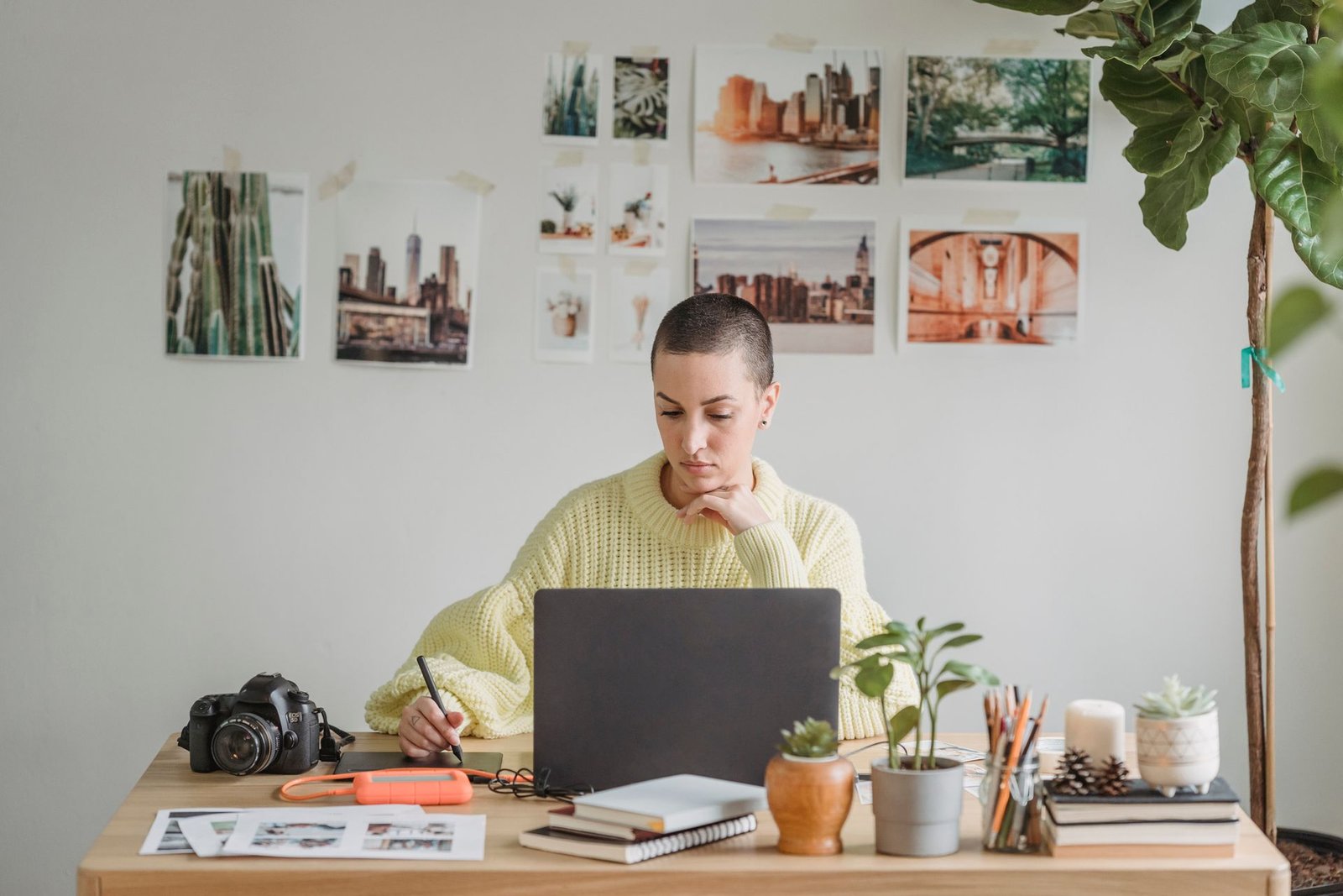 Creative Entrepreneur