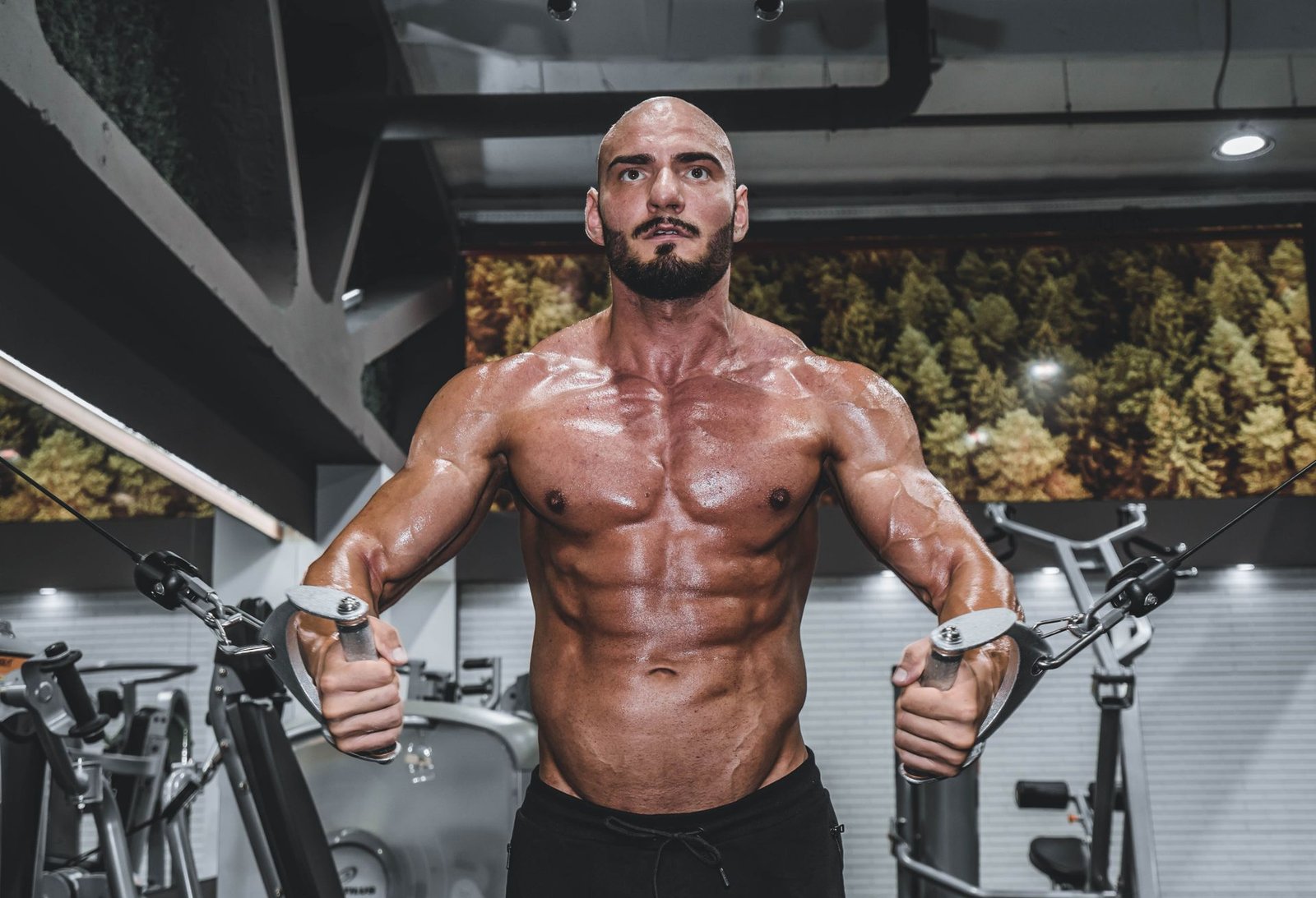Testosterone Booster