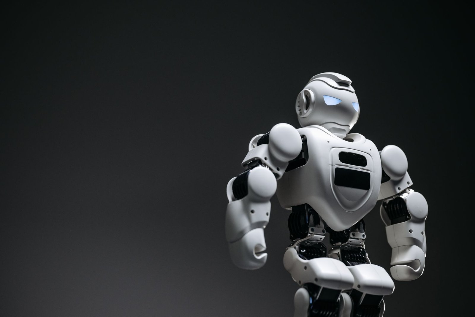 AI System