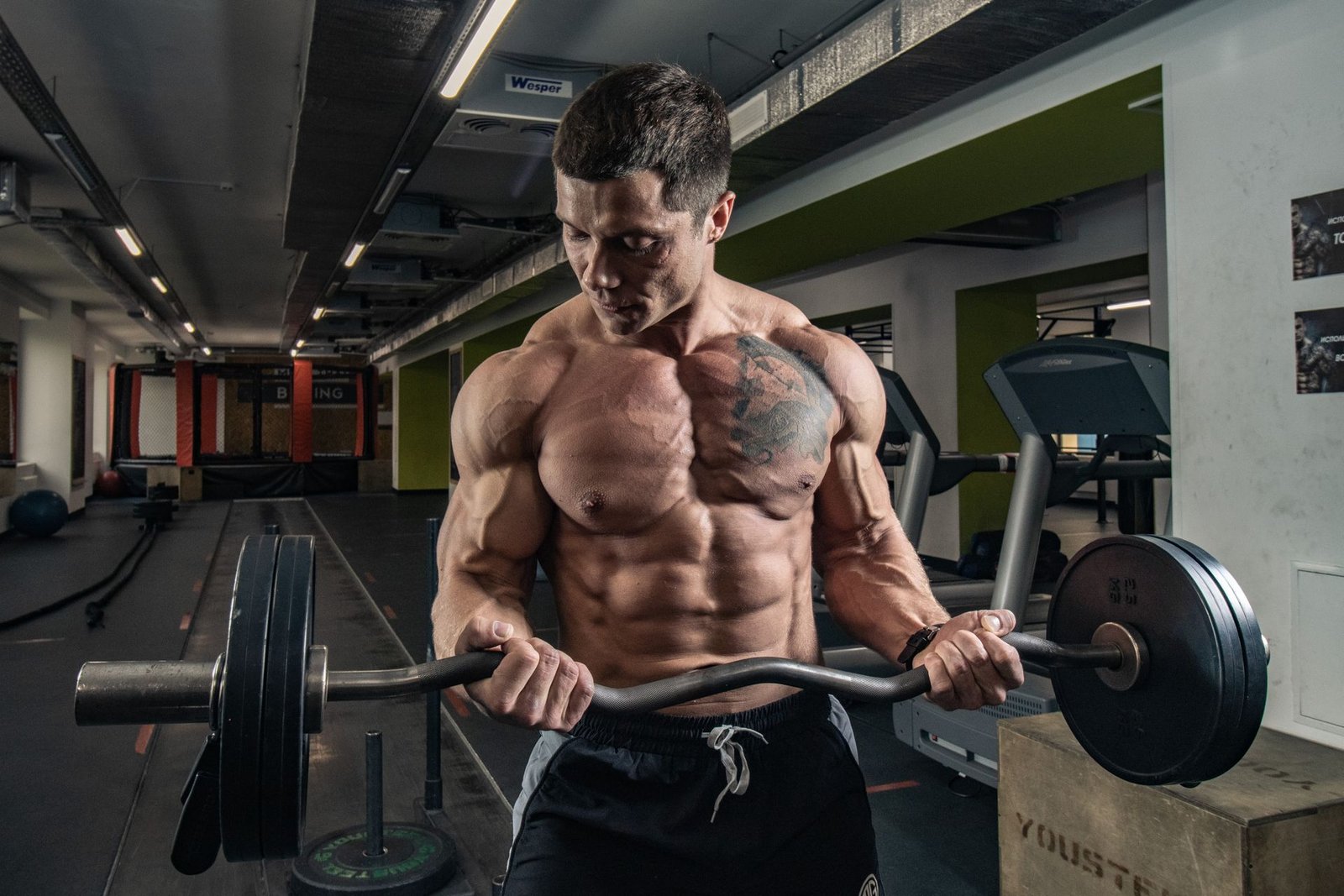fitness ebooks